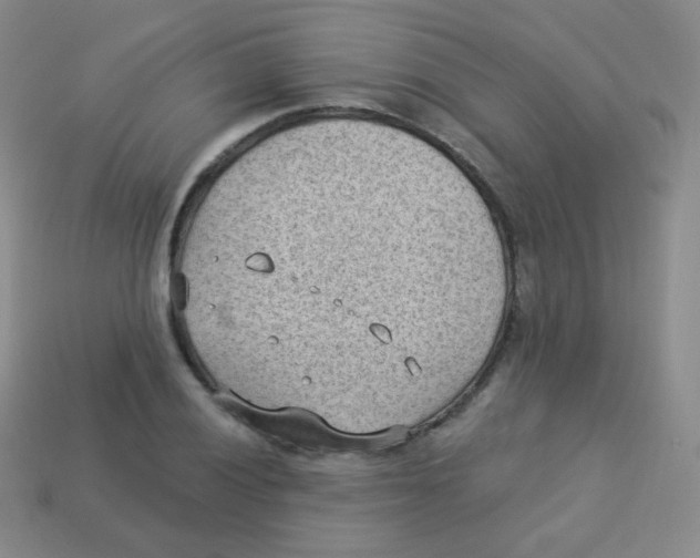 X0000113901028200910221434