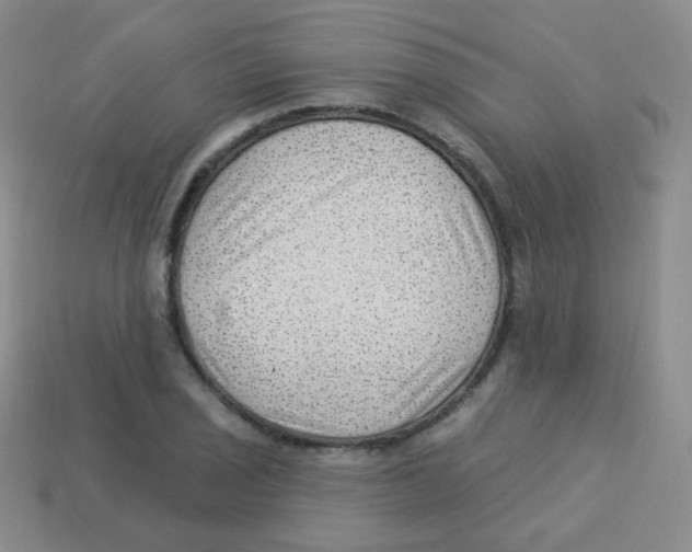 X0000113901029200910221434