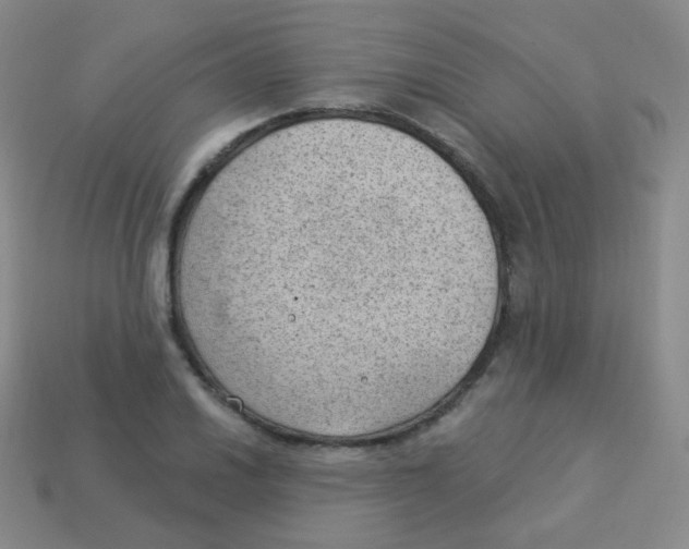 X0000113901030200910221434