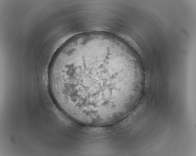 X0000113901031200910221434