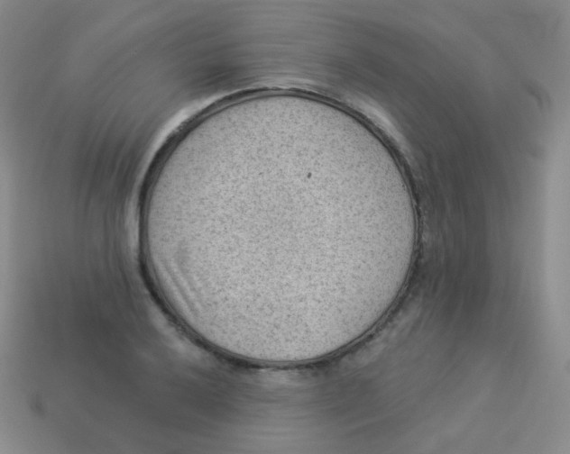 X0000113901032200910221434