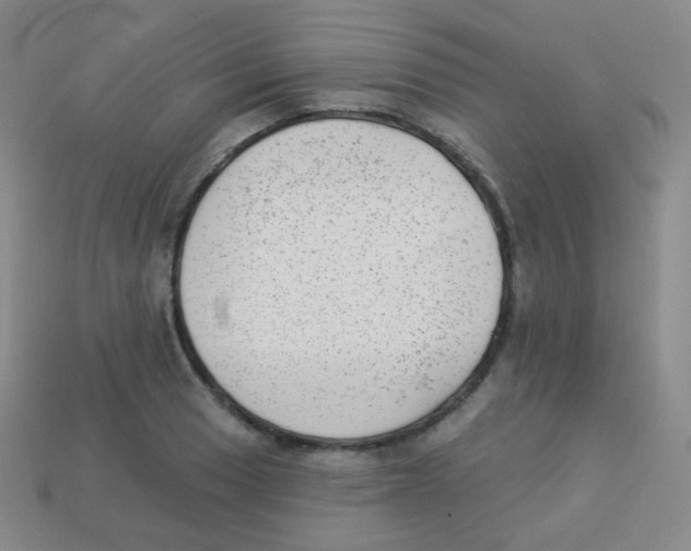 X0000113901033200910221434