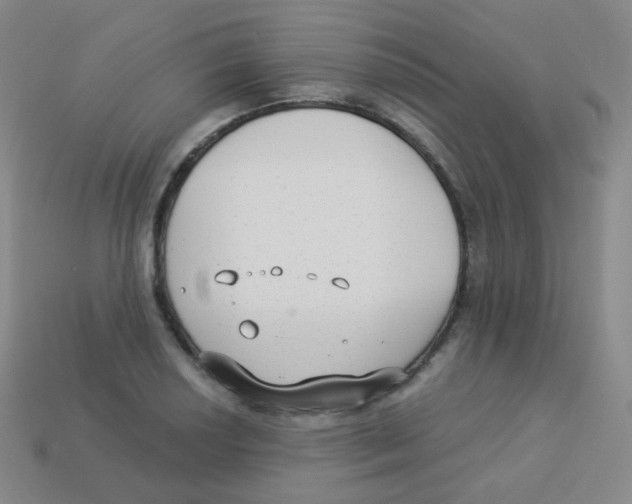 X0000113901034200910221434