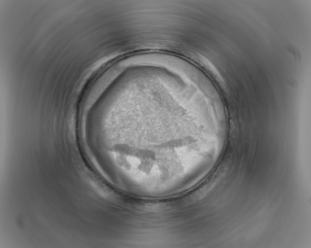 X0000113901035200910221434