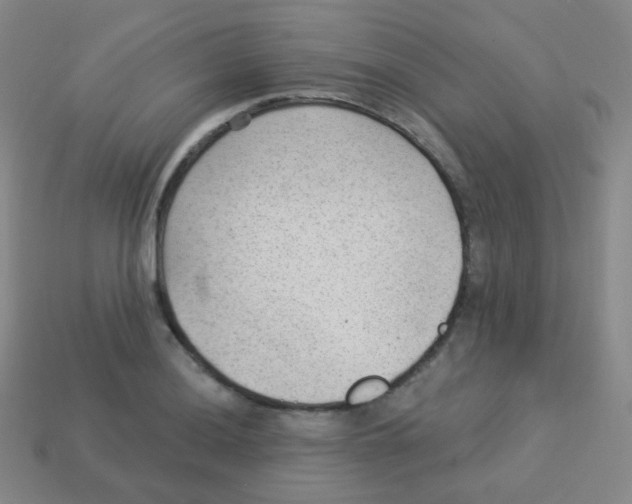 X0000113901036200910221434