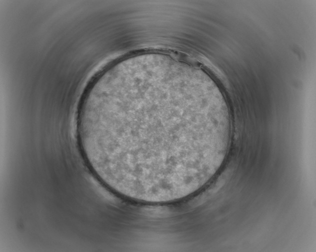 X0000113901037200910221434