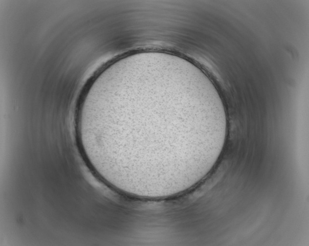 X0000113901038200910221434