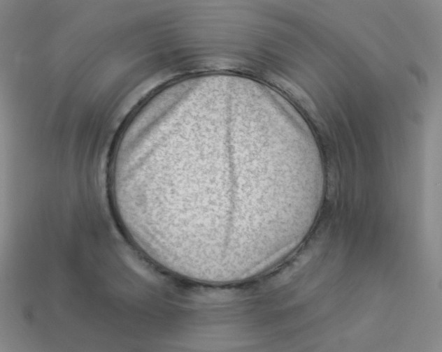 X0000113901039200910221434