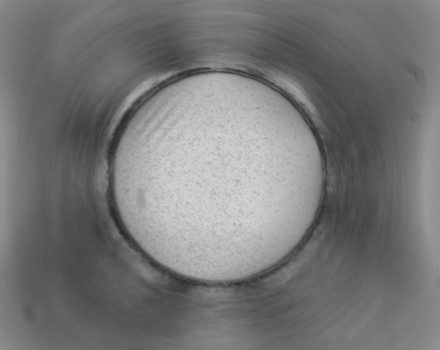 X0000113901040200910221434