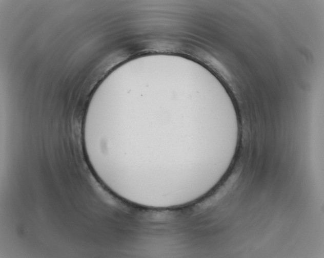 X0000113901041200910221434