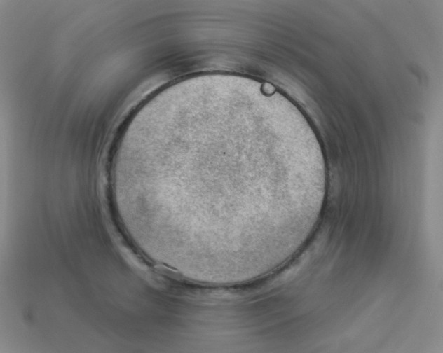 X0000113901042200910221434