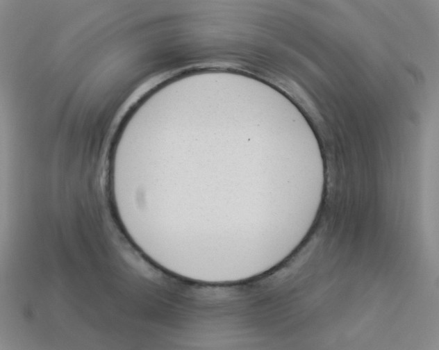 X0000113901044200910221434