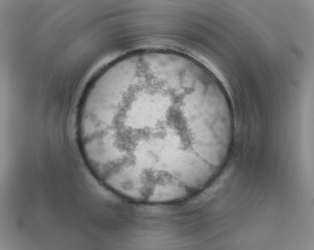 X0000113901045200910221434