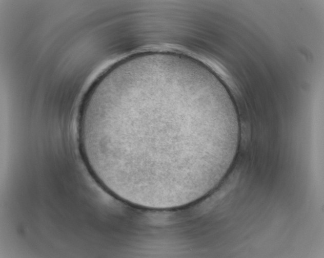 X0000113901046200910221434