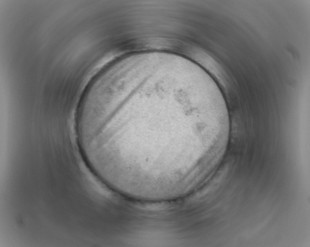 X0000113901047200910221434