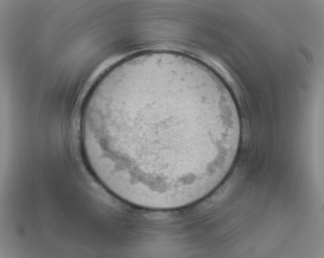 X0000113901048200910221434