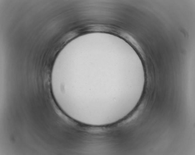 X0000113901049200910221434