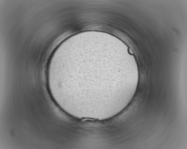 X0000113901050200910221434