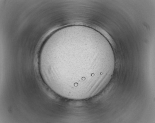 X0000113901051200910221434