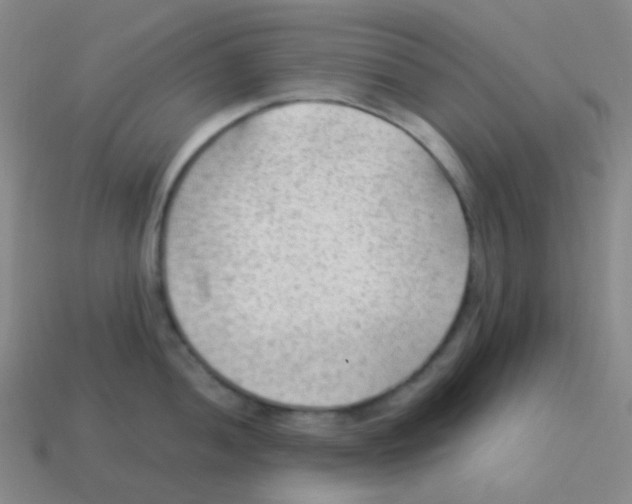 X0000113901052200910221434