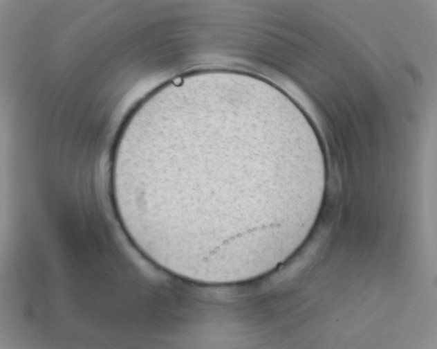 X0000113901053200910221434