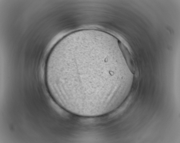 X0000113901054200910221434