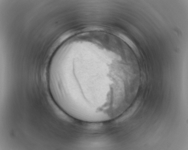 X0000113901055200910221434