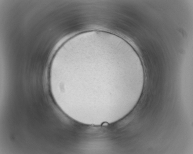 X0000113901056200910221434