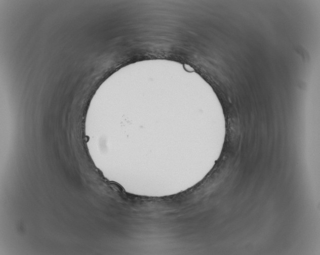 X0000113901057200910221434