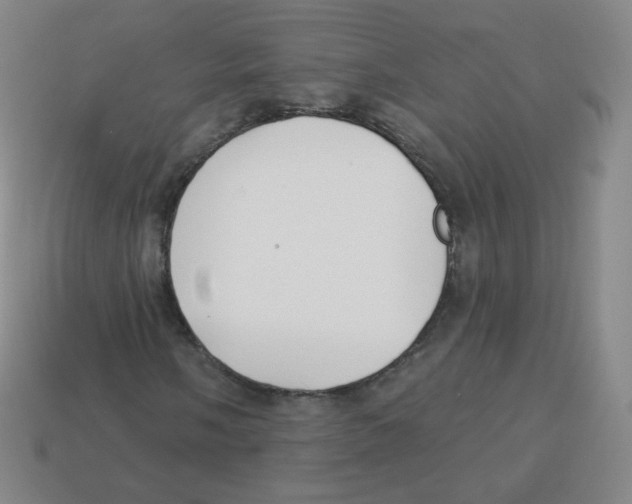 X0000113901058200910221434