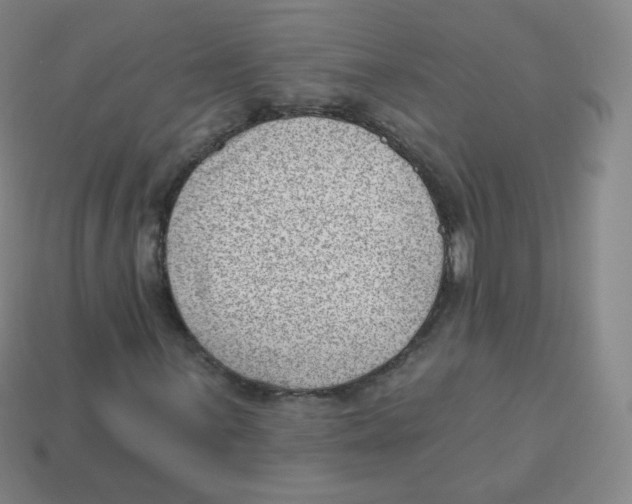 X0000113901059200910221434