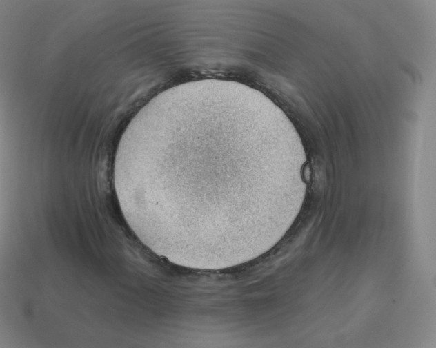 X0000113901060200910221434