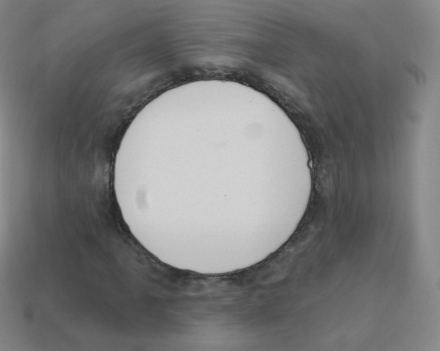 X0000113901061200910221434