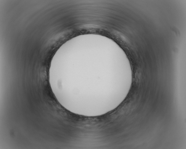 X0000113901062200910221434