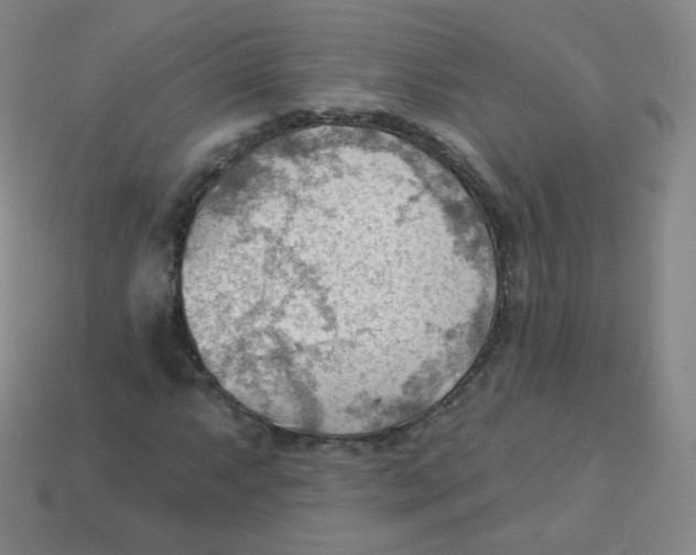 X0000113901063200910221434