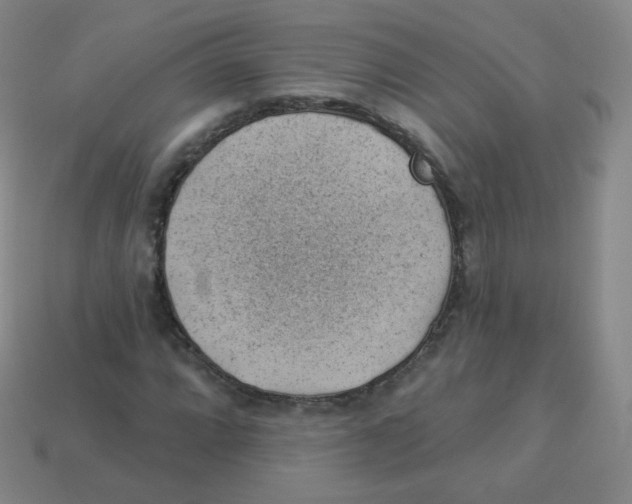 X0000113901064200910221434