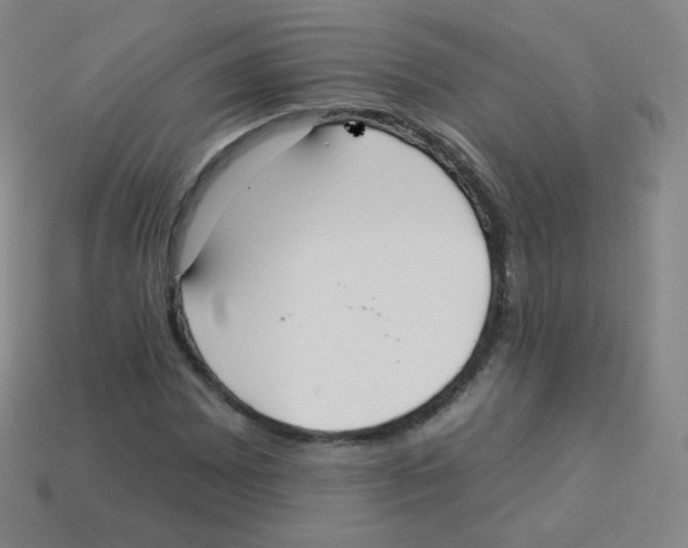 X0000113901065200910221434