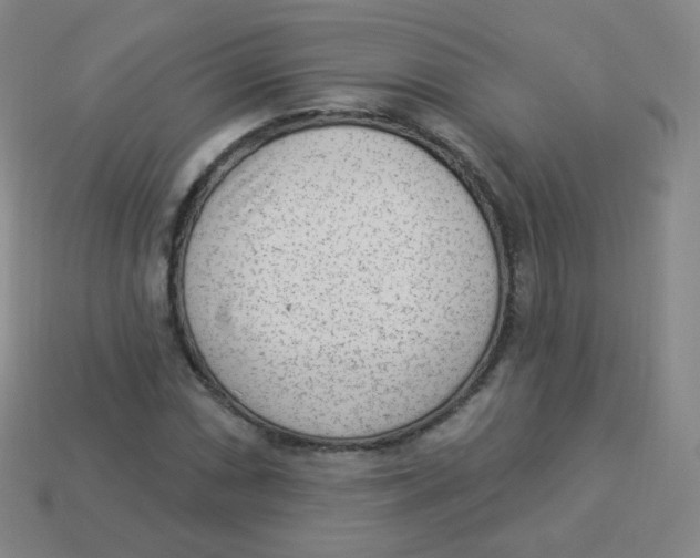 X0000113901066200910221434