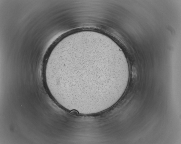 X0000113901068200910221434