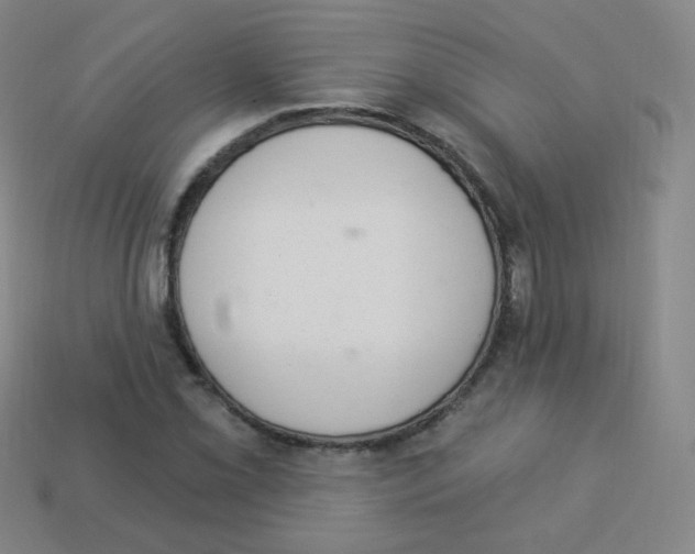 X0000113901069200910221434