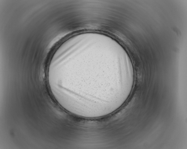 X0000113901070200910221434