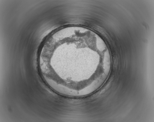 X0000113901071200910221434