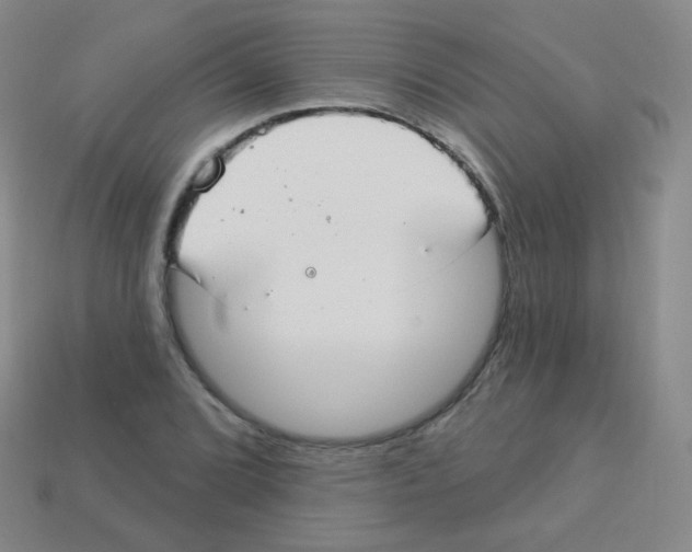 X0000113901072200910221434