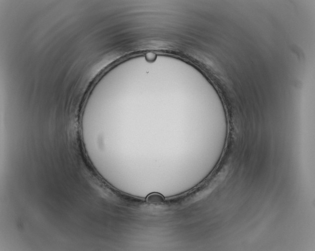 X0000113901073200910221434