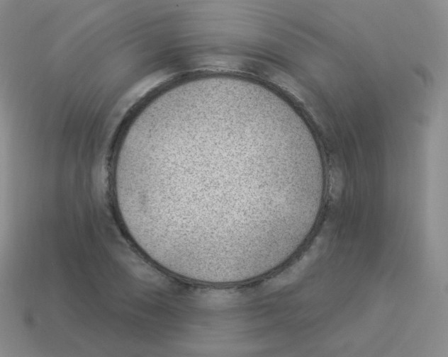 X0000113901074200910221434