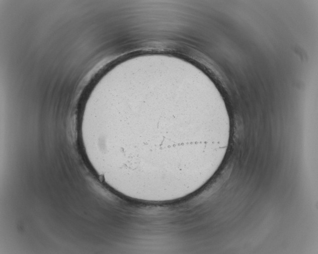 X0000113901075200910221433