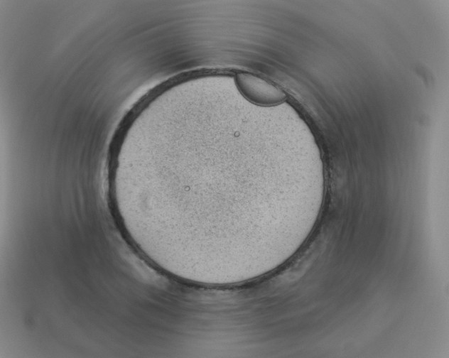 X0000113901076200910221433