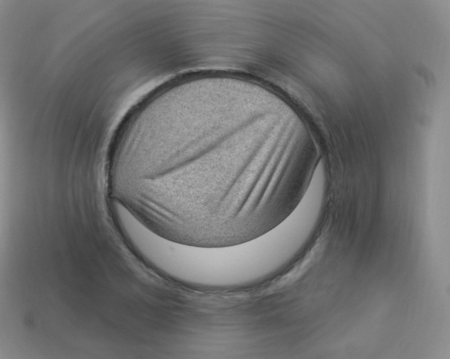 X0000113901077200910221433