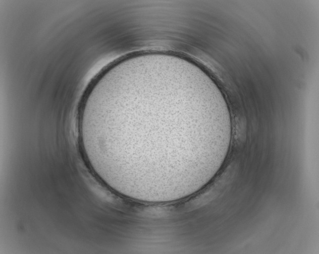 X0000113901078200910221433