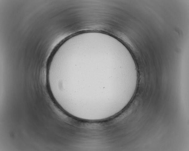 X0000113901079200910221433